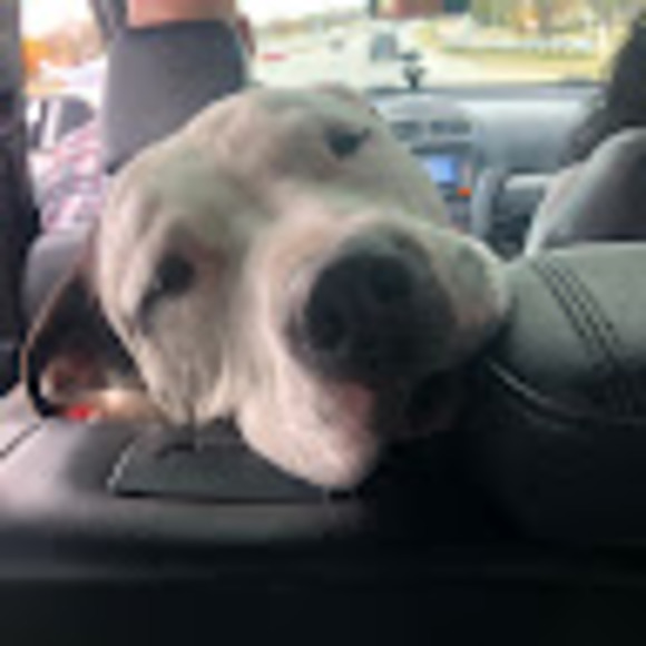 Meet your Posher, Marissa - Picture 1 of 1